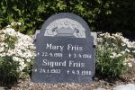 Sigurd  Friis.JPG